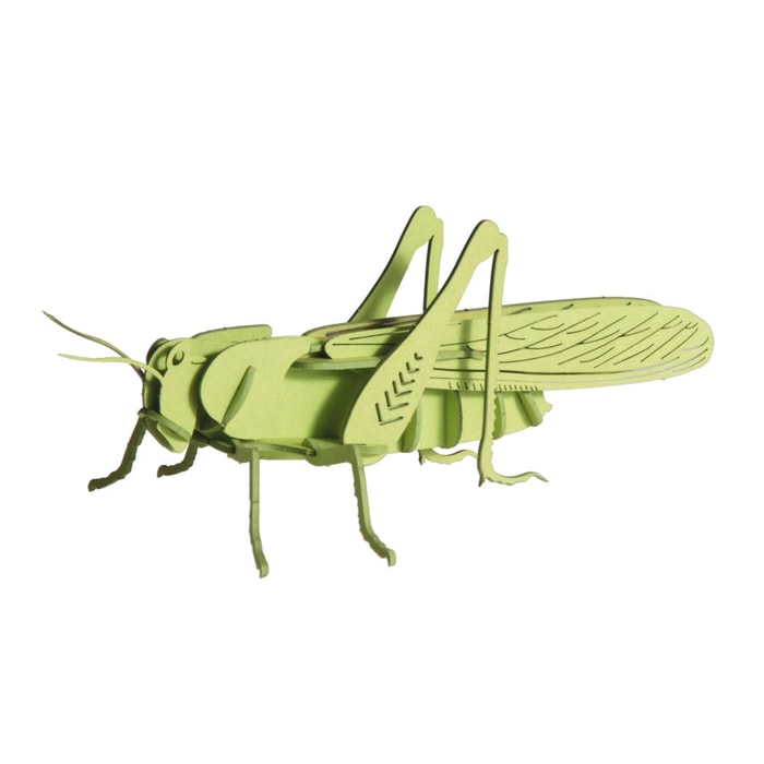 Коник | Grasshopper Fridolin 3D модель 