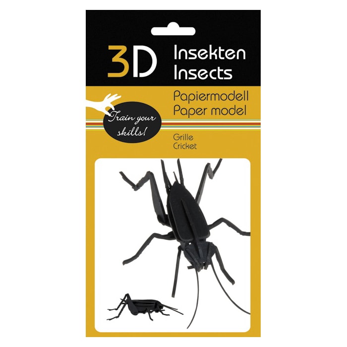 Цвіркун | Cricket Fridolin 3D модель 