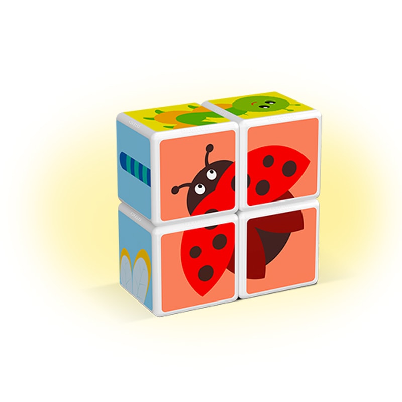 Geomag MAGICUBE Insects | Магнітні кубики Комахи