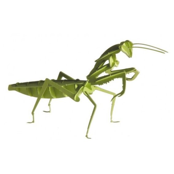 Богомол | Mantis Fridolin 3D модель